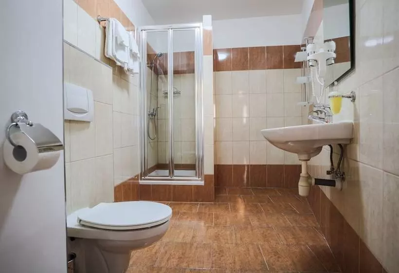 Fotos del hotel Pension U Lilie:  9