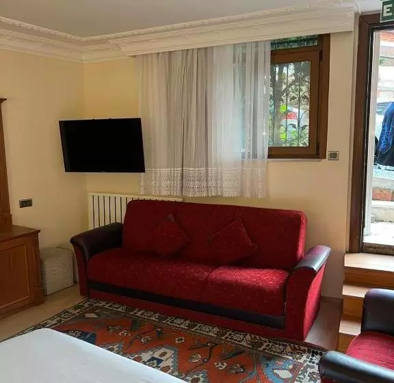 Fotos del hotel Ada Hotel Istanbul:  23