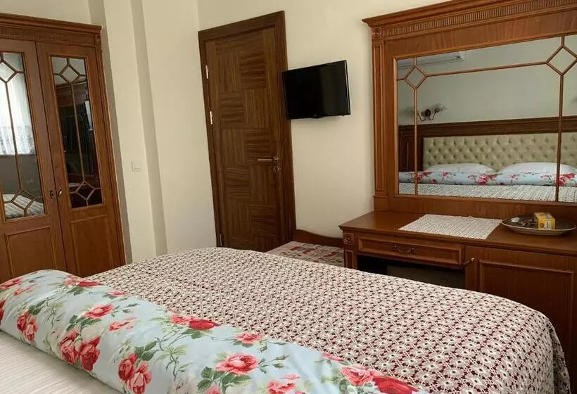 Fotos del hotel Ada Hotel Istanbul:  5