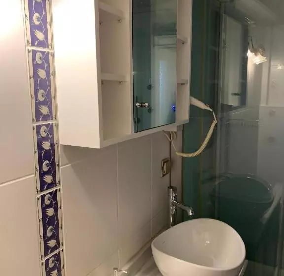 Fotos del hotel Ada Hotel Istanbul:  6