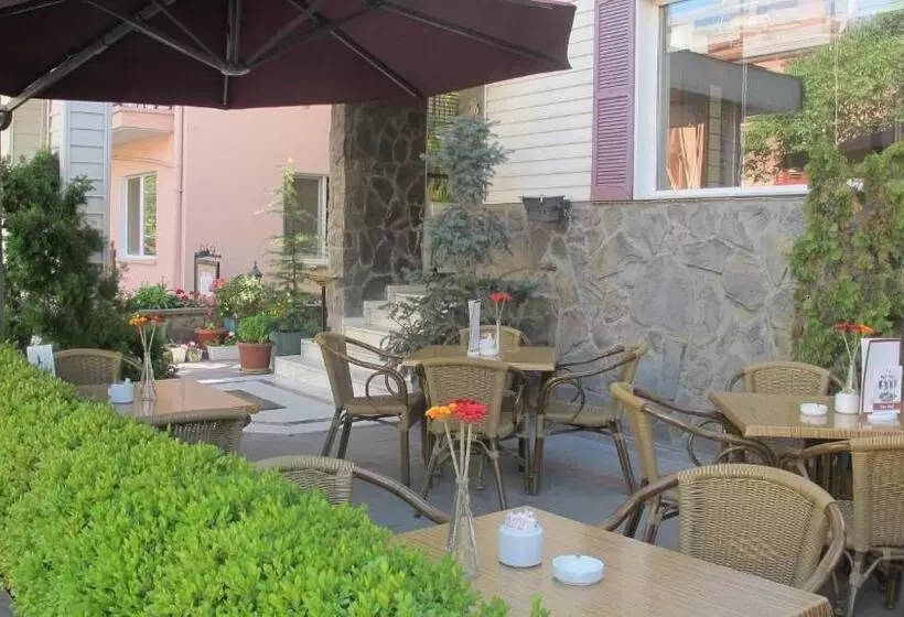 Fotos del hotel Elit Palas:  14