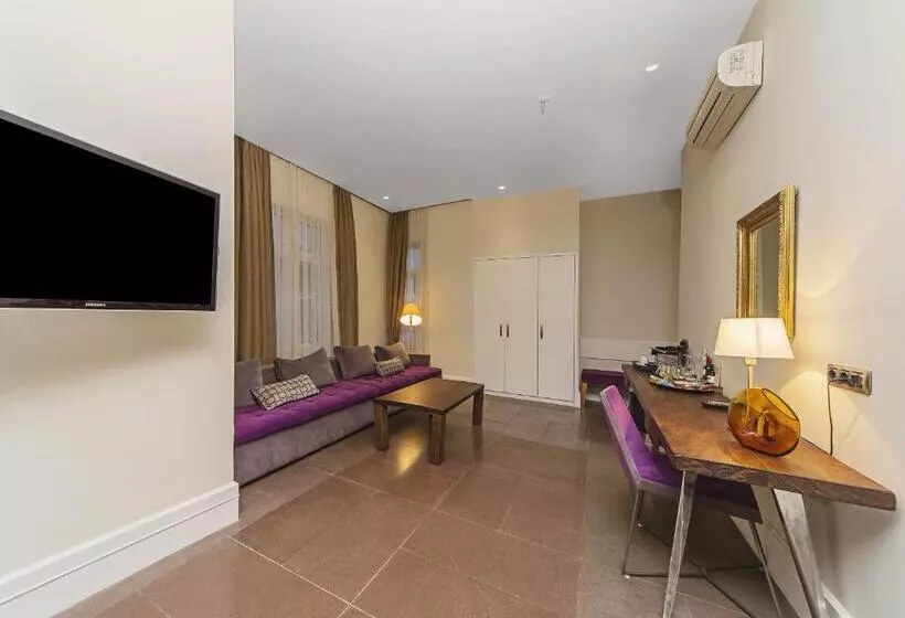 Fotos del hotel Misafir Suites 8 Istanbul:  24