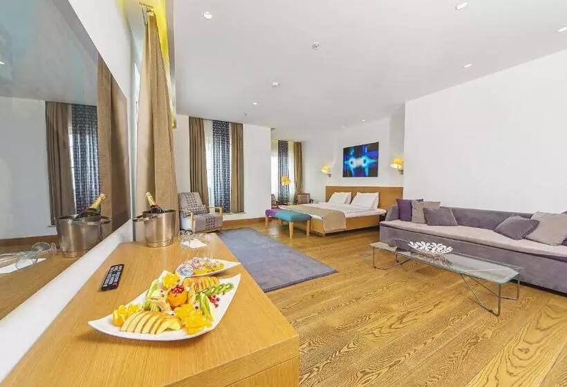 Fotos del hotel Misafir Suites 8 Istanbul:  17