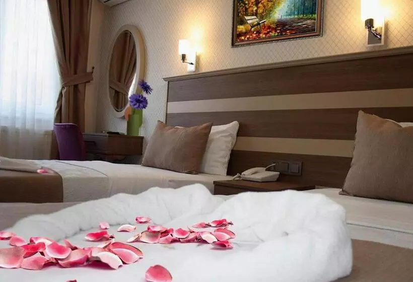 Fotos del hotel Sembol:  15