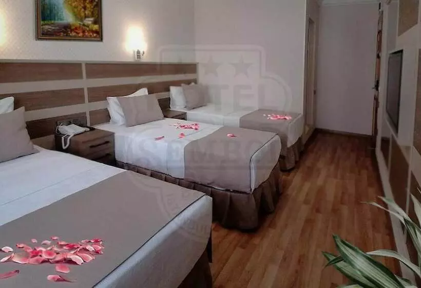 Fotos del hotel Sembol:  12