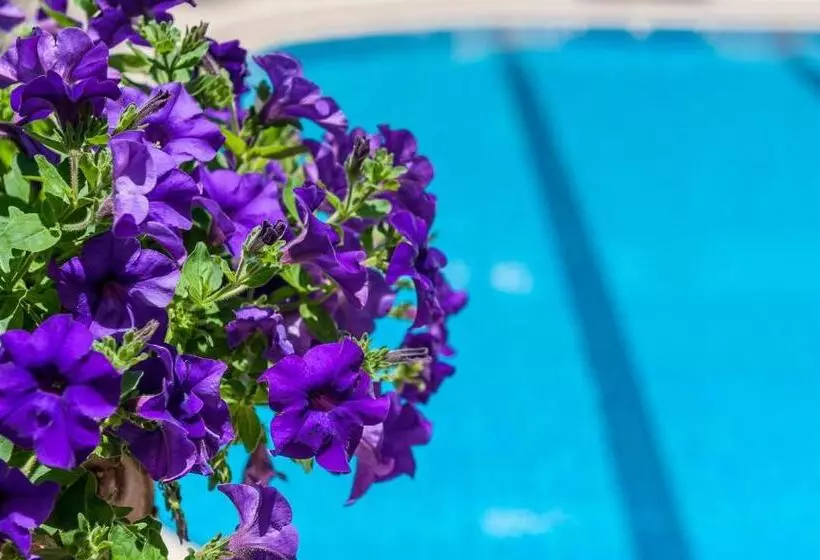 Fotos del hotel Ilios Beach  Apartments Adults Only:  3