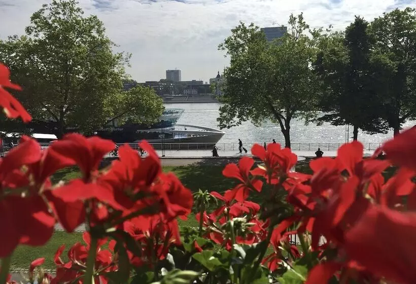 Fotos del hotel Hayk Altstadthotel & Appartements:  14