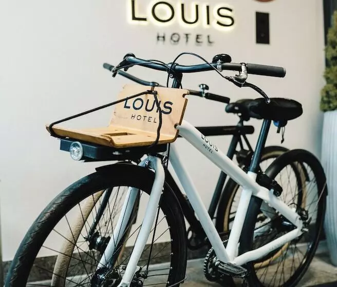 Fotos del hotel Louis Hotel:  25