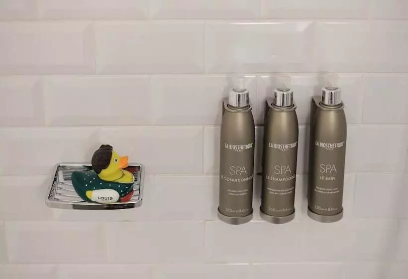 Fotos del hotel Louis Hotel:  3