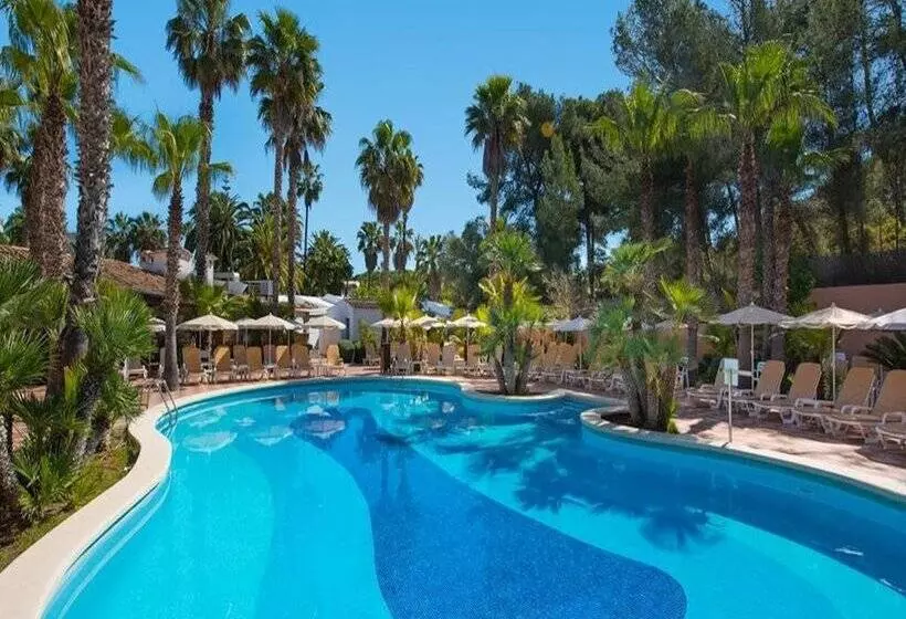 Fotos del hotel Cala Romántica Mallorca:  68