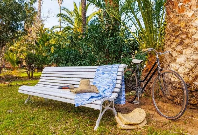 Fotos del hotel Cala Romántica Mallorca:  104