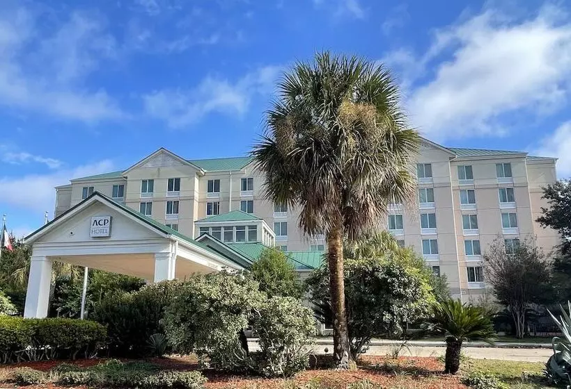 Fotos del hotel Hilton Garden Inn Houston Westbelt:  3