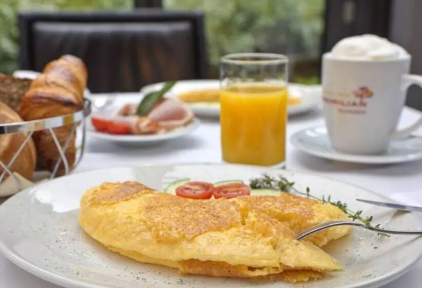 Fotos del hotel Maximilian Munich:  5