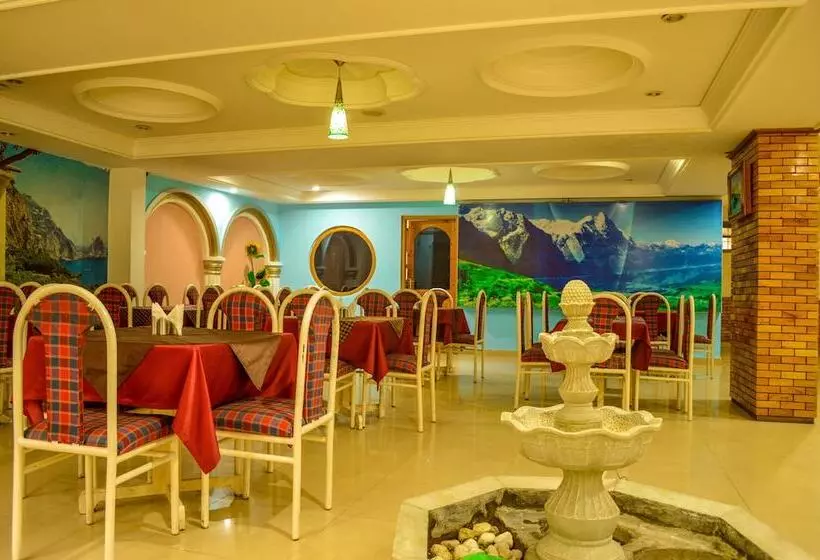 Fotos del hotel Hotel Mountain Top:  8