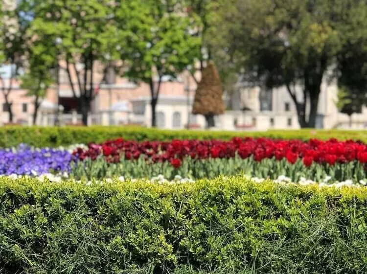 Fotos del hotel Nomade Oldcity:  7