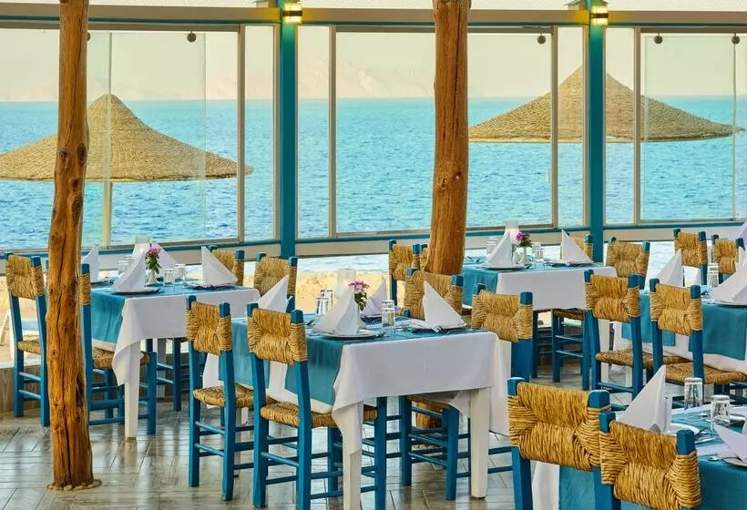 Fotos del hotel Dreams Beach Resort - Sharm El Sheikh:  20