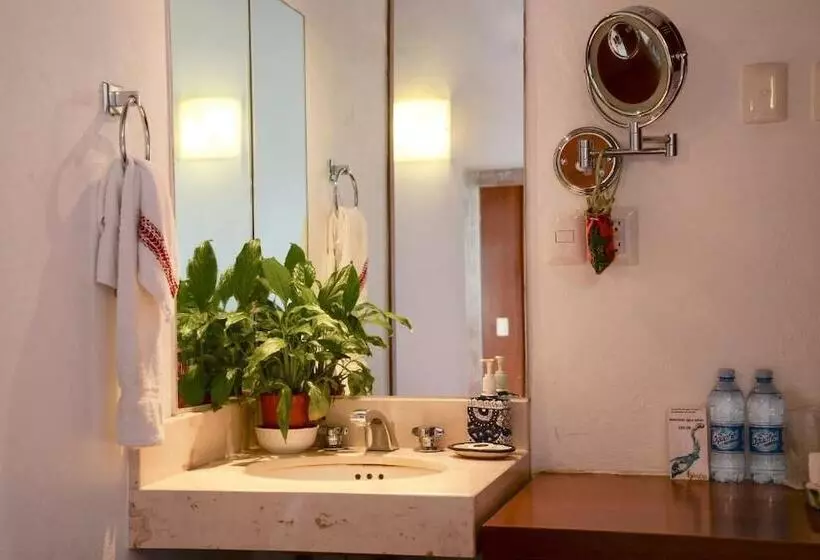 Fotos del hotel El Serafin  Boutique:  24