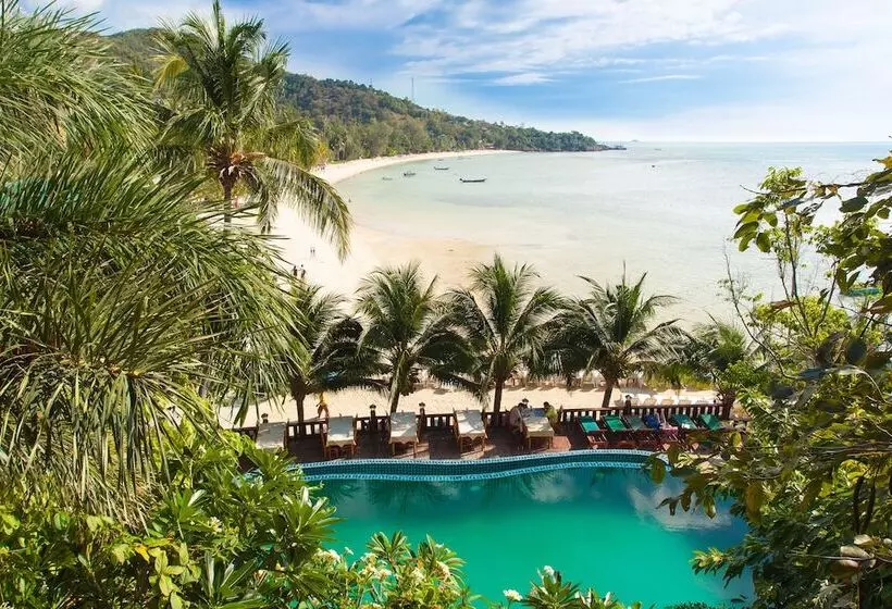 Fotos del hotel Haad Yao Bayview Resort & Spa  Sha Plus Certified:  7