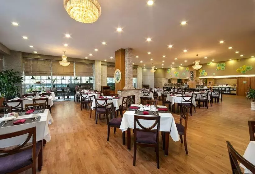 Fotos del hotel La Casa Hanoi:  7