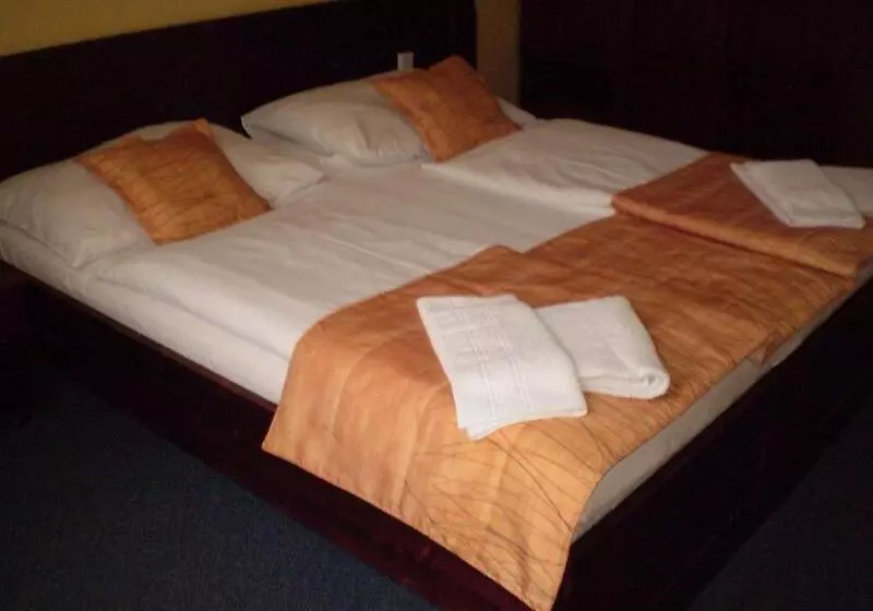 Fotos del hotel U Stare Pani - At the Old Lady Hotel:  6