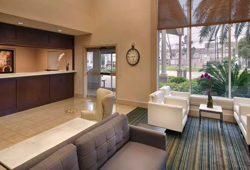 Fotos del hotel Best Western Plus Downtown Inn & Suites:  7