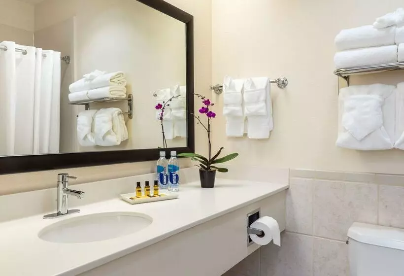 Fotos del hotel Best Western Plus Downtown Inn & Suites:  12