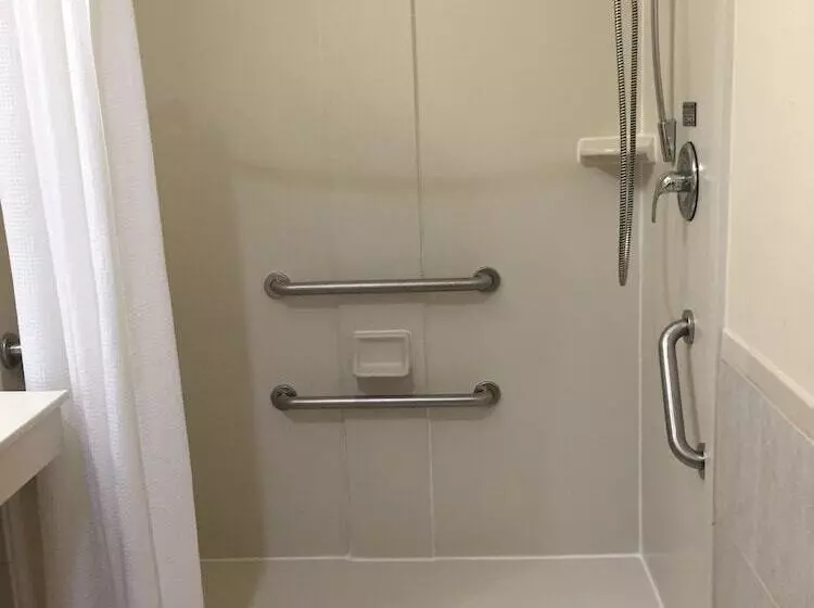 Fotos del hotel Best Western Plus Downtown Inn & Suites:  9