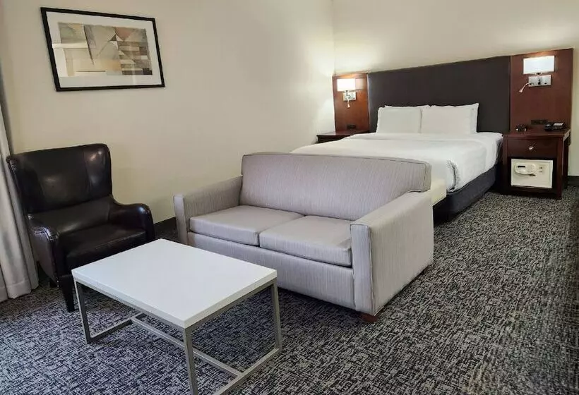 Fotos del hotel Best Western Plus Downtown Inn & Suites:  13