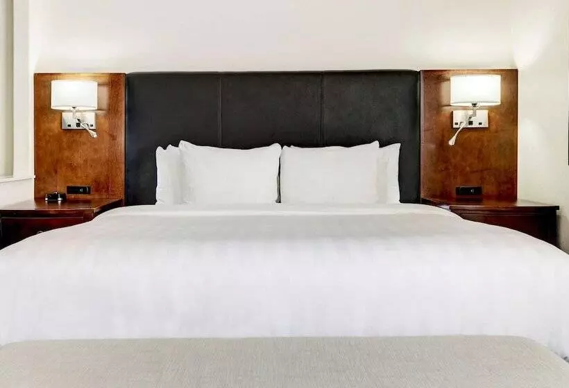 Fotos del hotel Best Western Plus Downtown Inn & Suites:  6