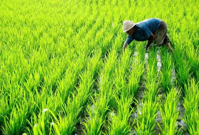 Fotos del hotel Como Uma Ubud:  25