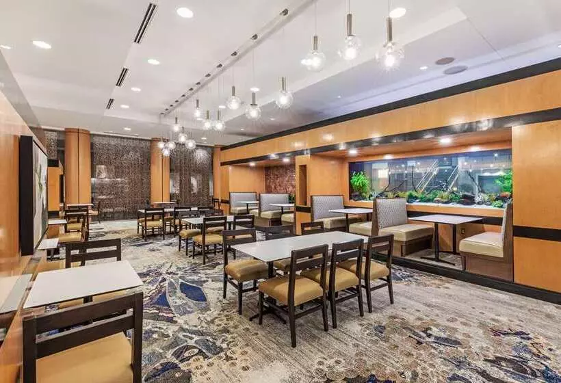 Fotos del hotel Embassy Suites By Hilton Houston-energy Corridor:  21