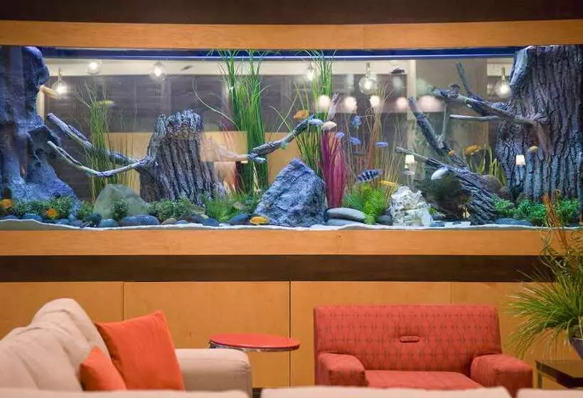 Fotos del hotel Embassy Suites By Hilton Houston-energy Corridor:  10