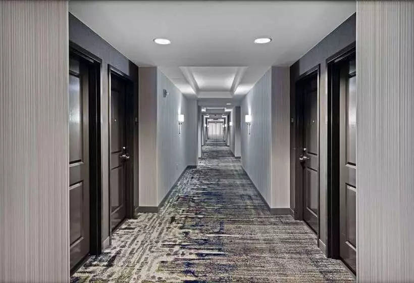 Fotos del hotel Embassy Suites By Hilton Houston-energy Corridor:  25
