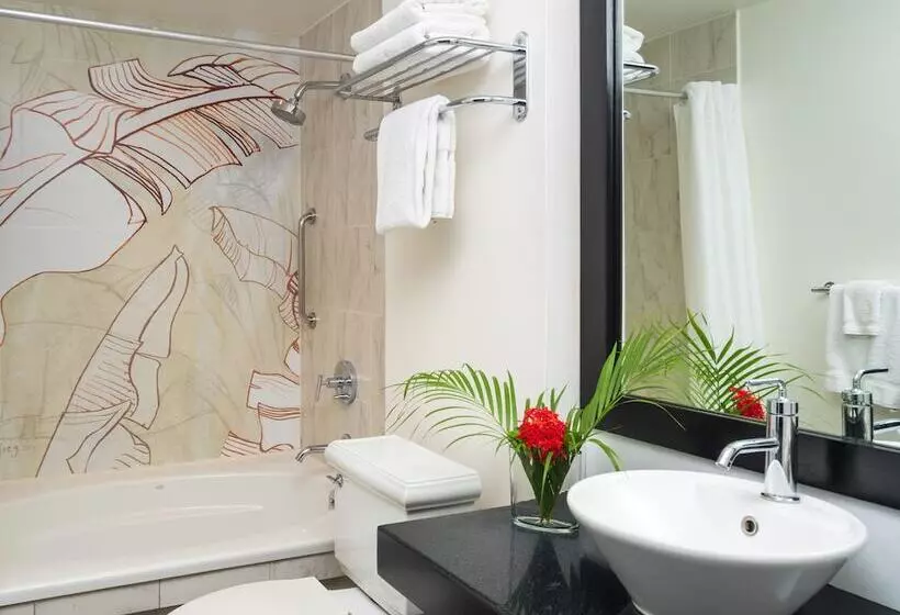 Fotos del hotel Spanish Court:  8