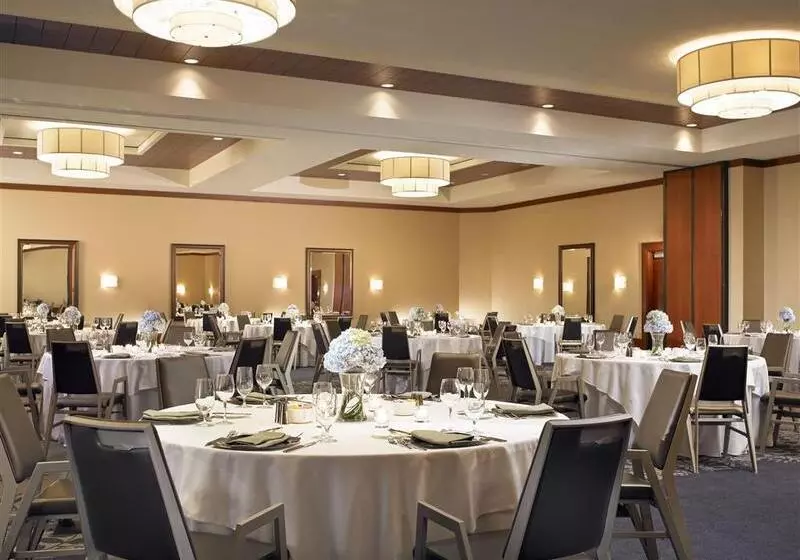 Fotos del hotel The Westin Houston, Memorial City:  6