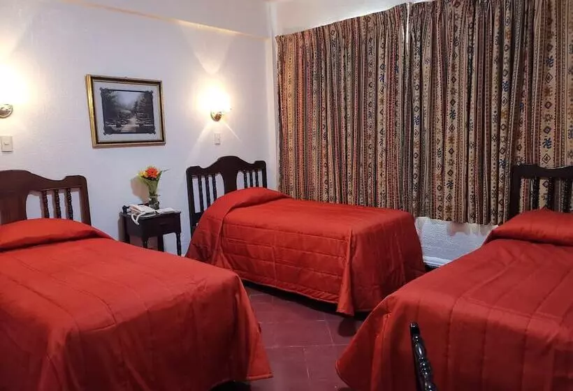 Fotos del hotel Hotel 5a Avenida:  19