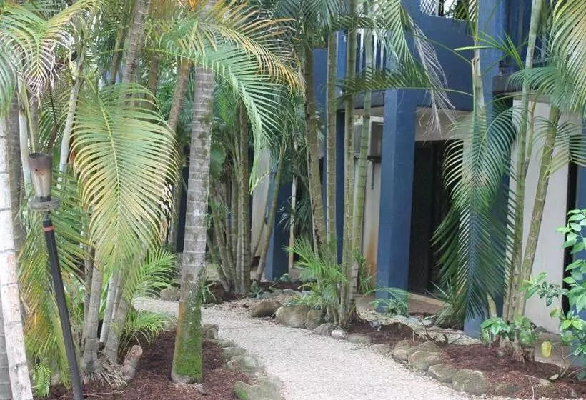 Fotos del hotel Bohemia Resort Cairns:  17