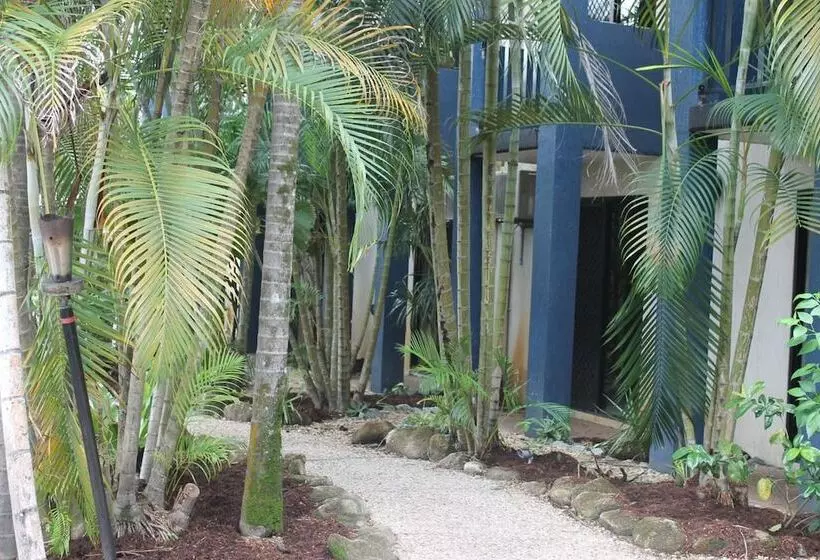 Fotos del hotel Bohemia Resort Cairns:  20