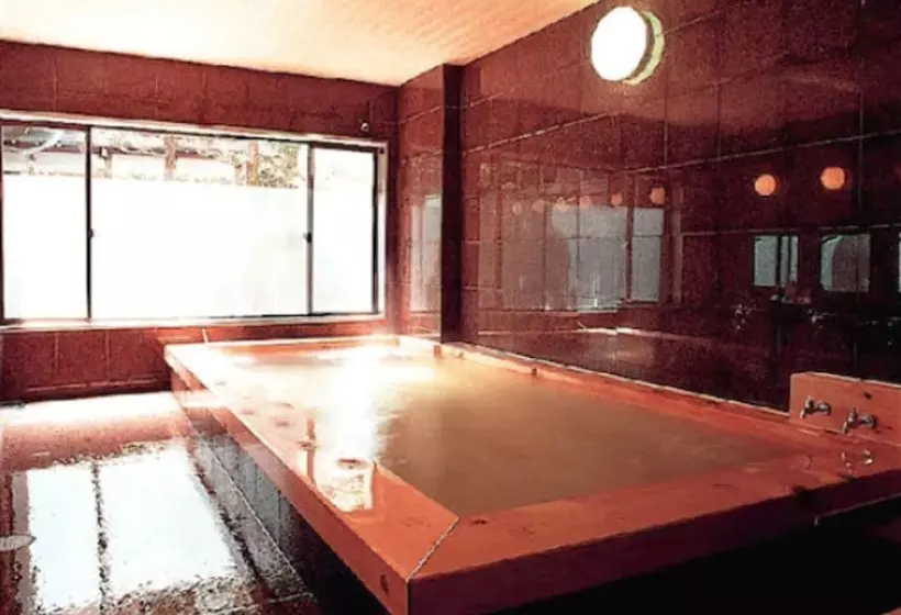 Fotos del hotel Hodakaso Yamanoiori:  3