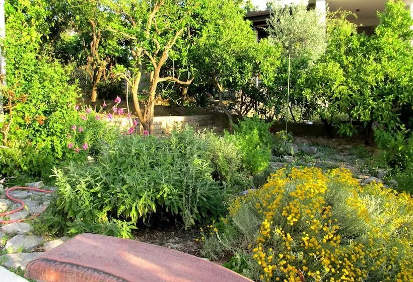 Fotos del hotel Villa Pape:  15