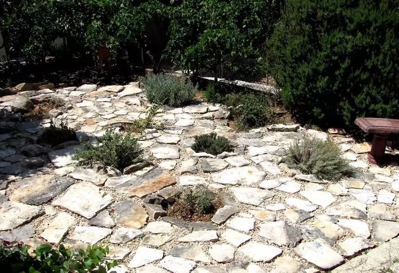 Fotos del hotel Villa Pape:  6