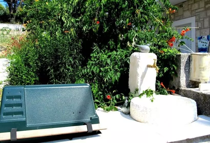 Fotos del hotel Villa Pape:  1