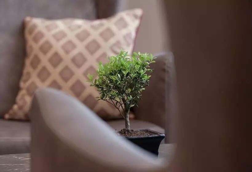 Fotos del hotel Argento:  12