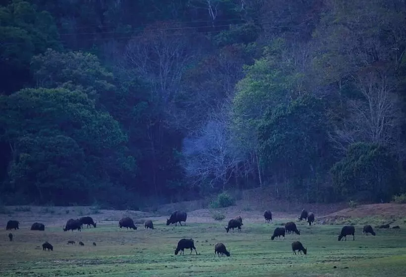 Fotos del hotel Holiday Inn Cochin, An Ihg:  6