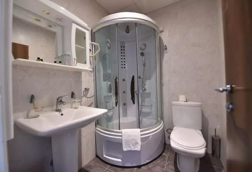 Fotos del hotel Balkan  Garni:  3