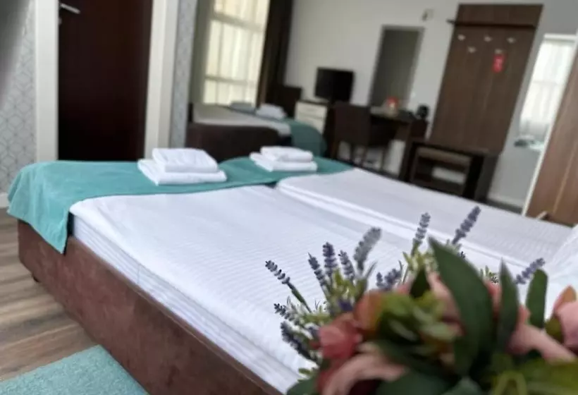 Fotos del hotel Balkan  Garni:  10