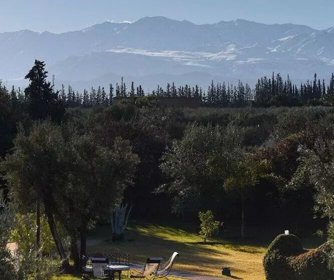 Fotos del hotel Les Jardins De Zyriab:  15