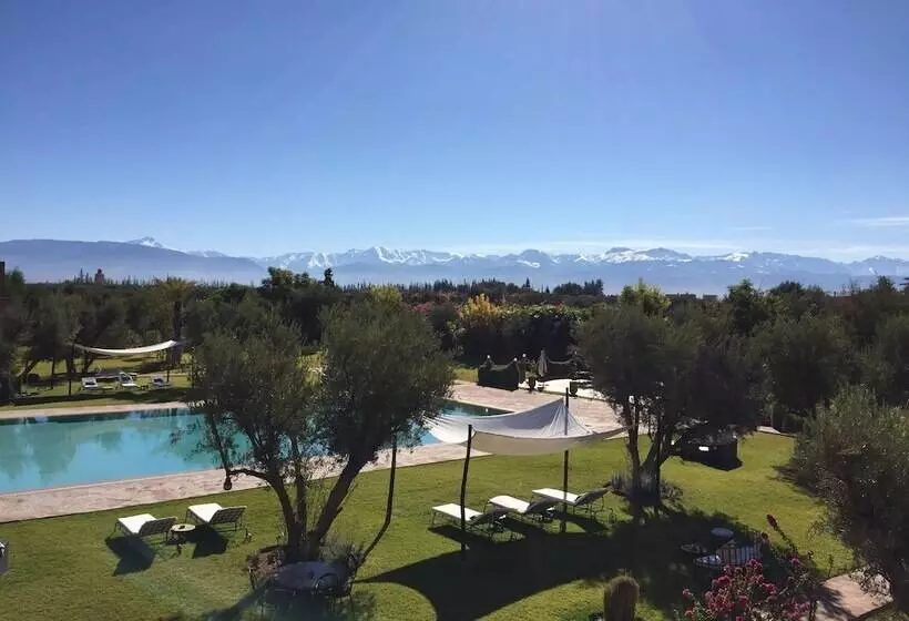 Fotos del hotel Les Jardins De Zyriab:  19