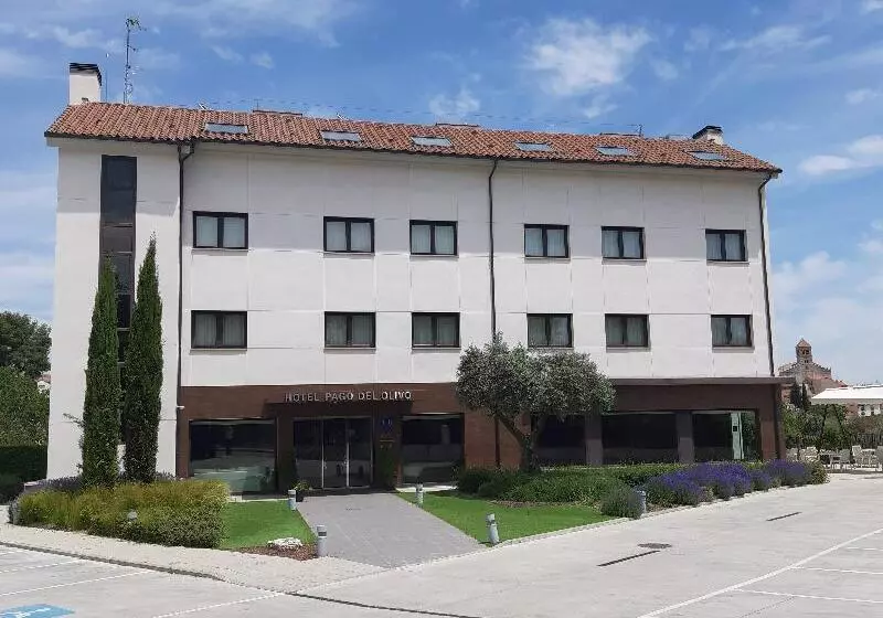 Fotos del hotel Pago Del Olivo:  17