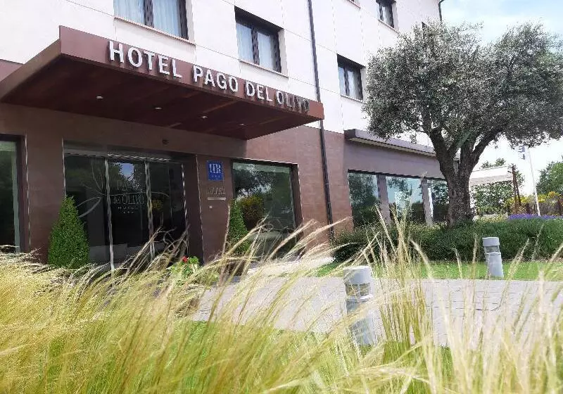 Fotos del hotel Pago Del Olivo:  10